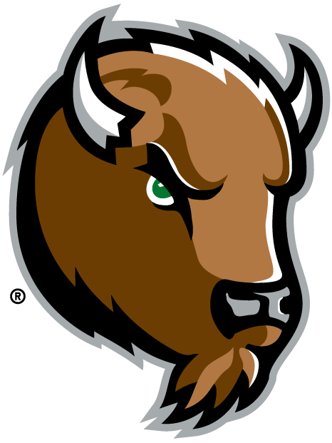 Marshall Thundering Herd 2001-Pres Alternate Logo v5 diy iron on heat transfer